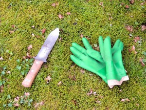 Out come the gloves and the weeds.
