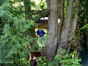 Tree-House