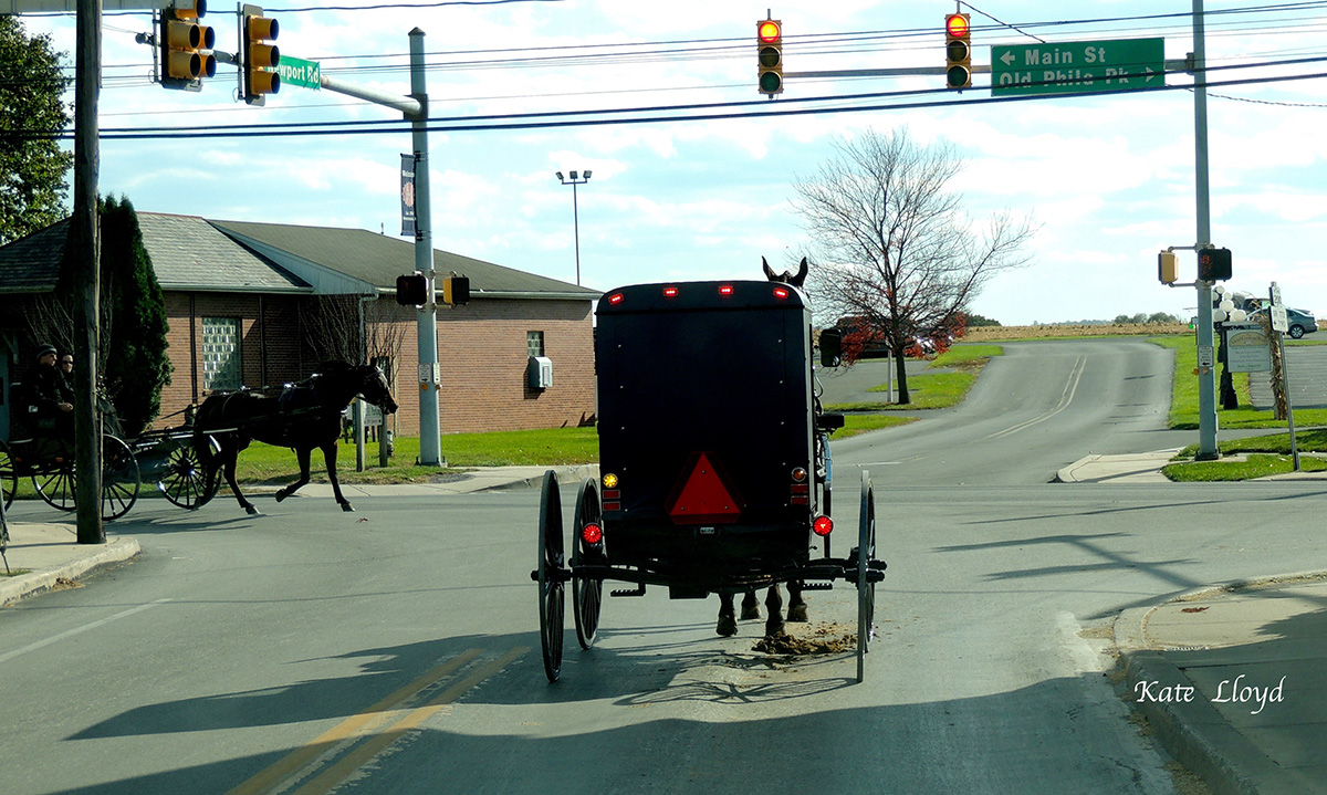 The Amish horse-and-buggies have to deal with traffic too!