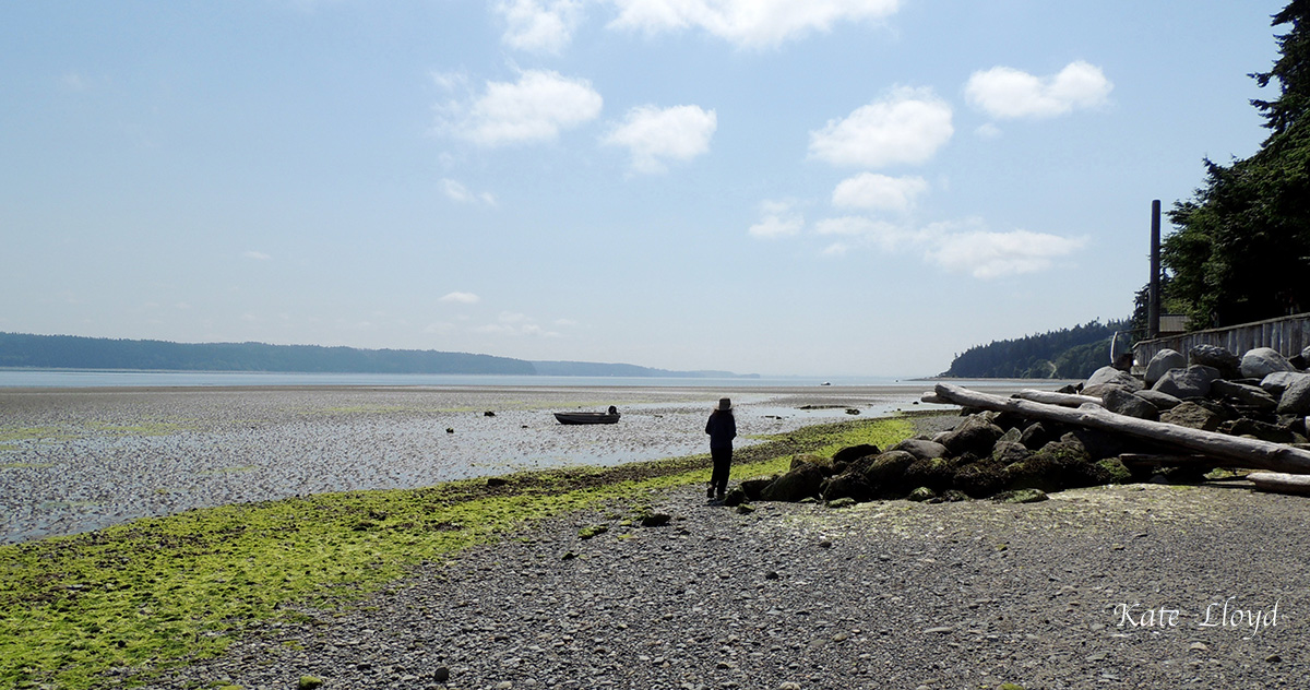 Walking is one of my favorite de-stressors. Especially on the beach.