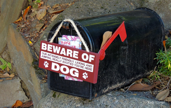 Much as I love dogs, please don't let your intensely, friendly pooch jump on me!