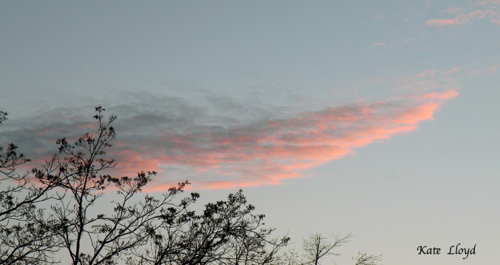 A fluffy gorgeously pink cloud.