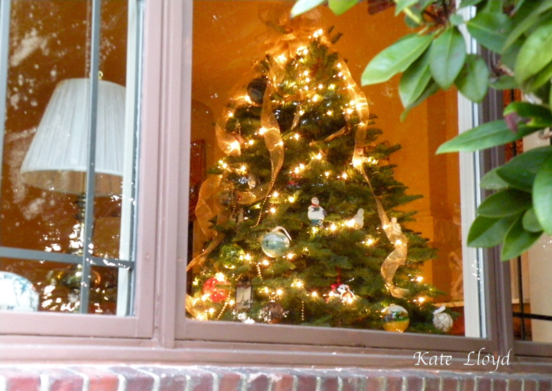 From her front steps I spotted her elegant tree - warm and inviting.