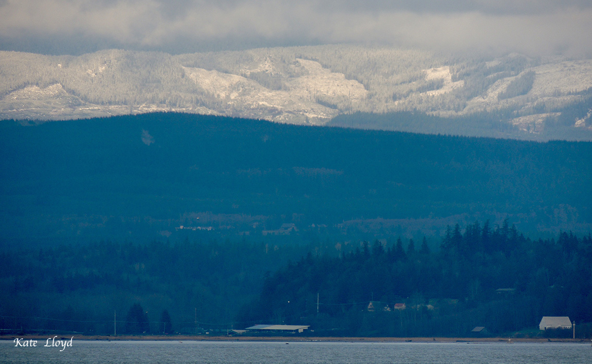 After being socked in all day I finally caught sight of new snow across the bay.