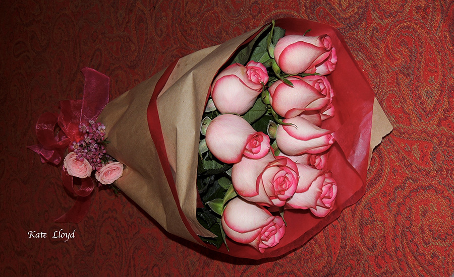 My favorite Valentine’s Day roses from my husband.