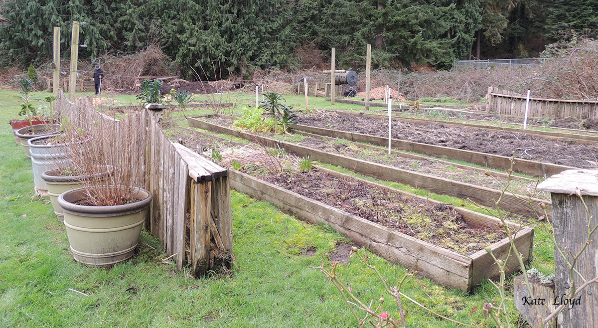 Our neighbor’s dormant veggie garden awaiting spring’s warmth.