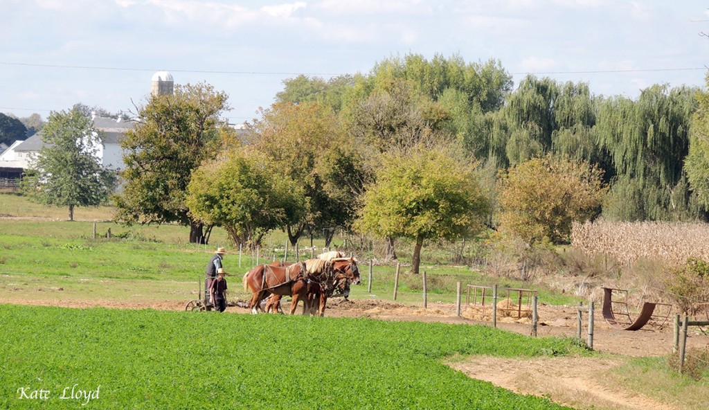A woman thought Amish farmers are poor because they work their own farms.