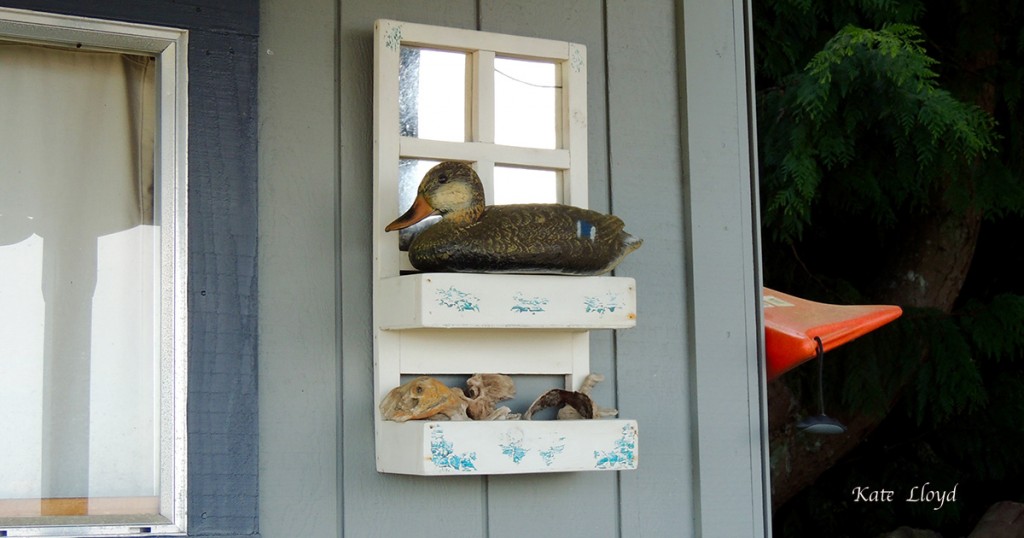 4-8-16DuckDecoy