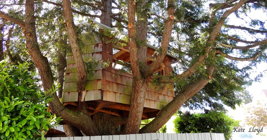 Had I just never looked up before to see this fun treehouse?