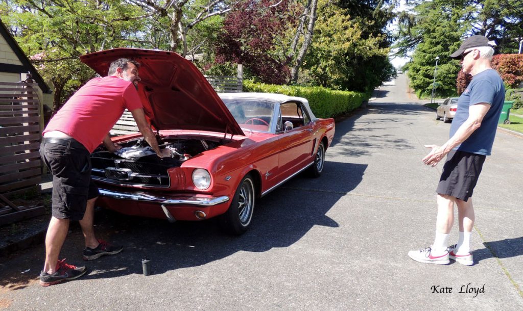This 19641/2 Mustang reminded me of Holly's car in _Forever Amish_! I suspect my husband enjoyed talking about it more than gardening.