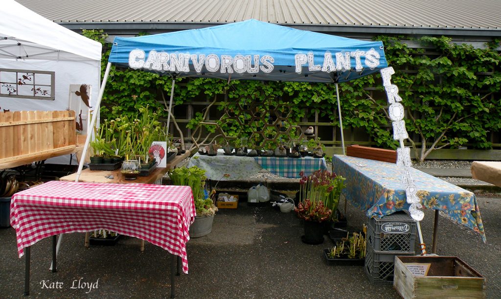 Our grandson would love these carnivorous plants!