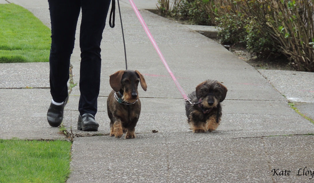 Kate’s Favorite Pics