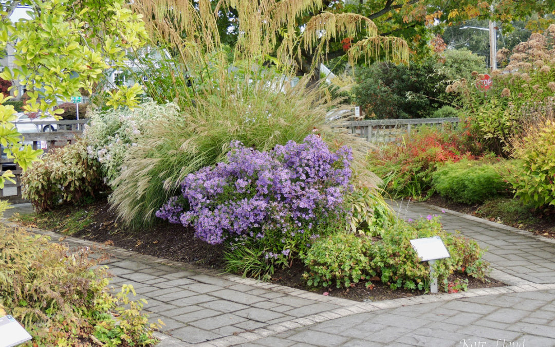 Kate’s Favorite Pics