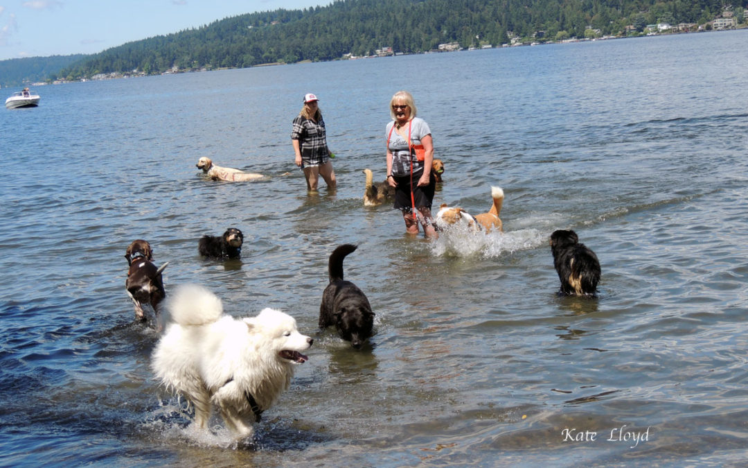 Finding Community
