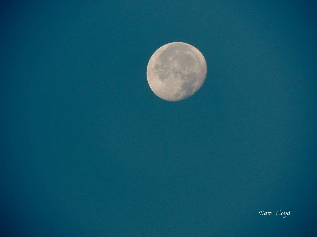 The moon isn’t what I expected to see awaiting me on my morning walk!