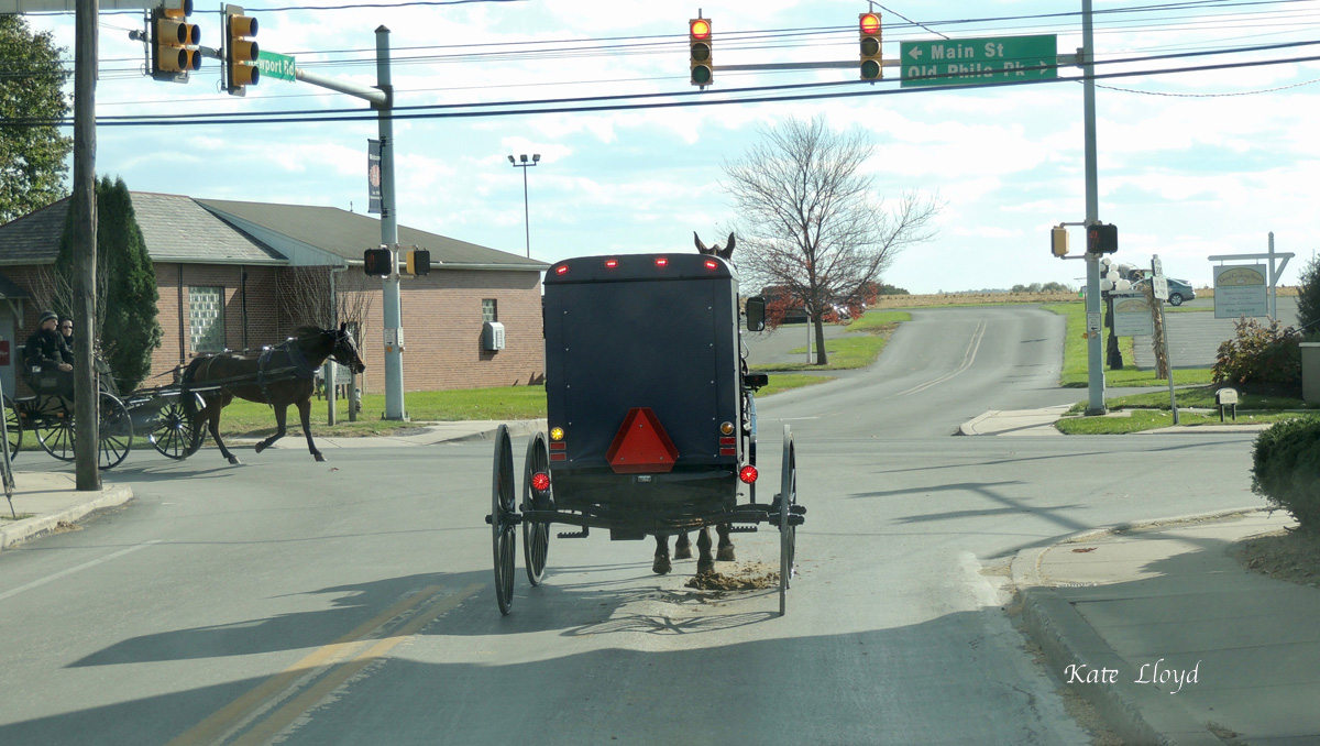 An occasional traffic snarl in Lancaster County.