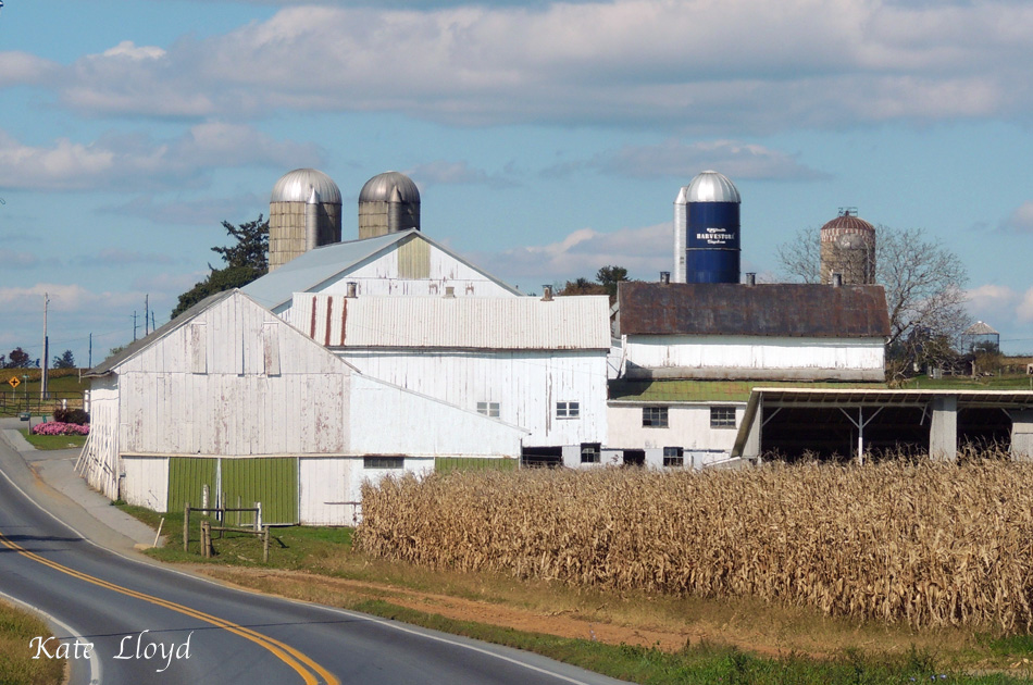 The Big Apple or Lancaster County?