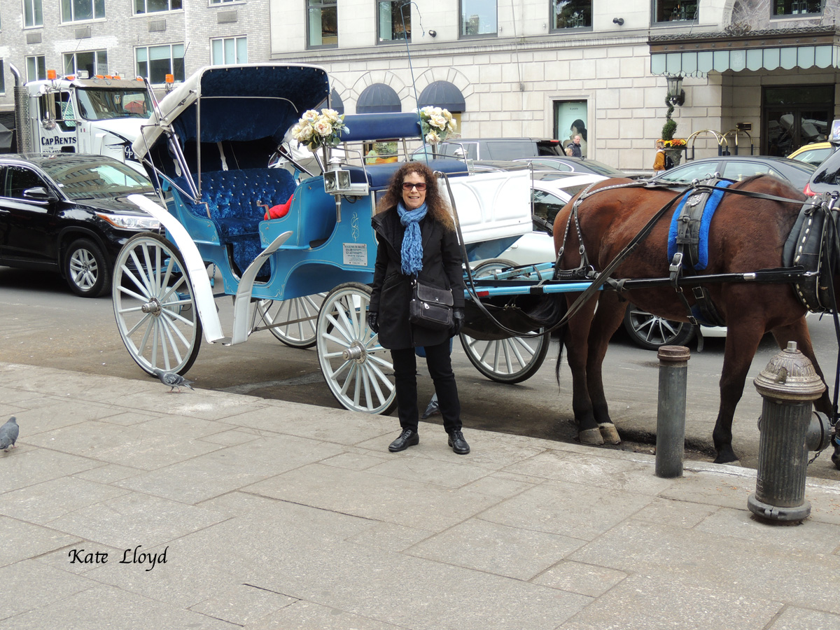 Definitely not an Amish horse and buggy. Check out the traffic!