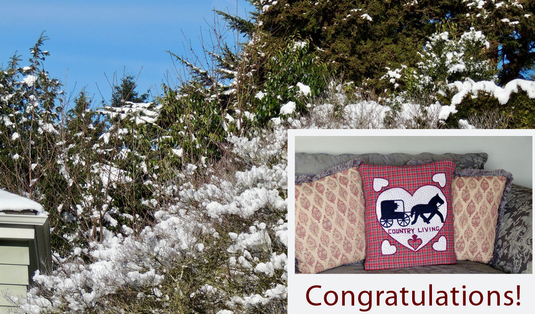 Valentine’s Quillow Winner and Seattle Snowfall