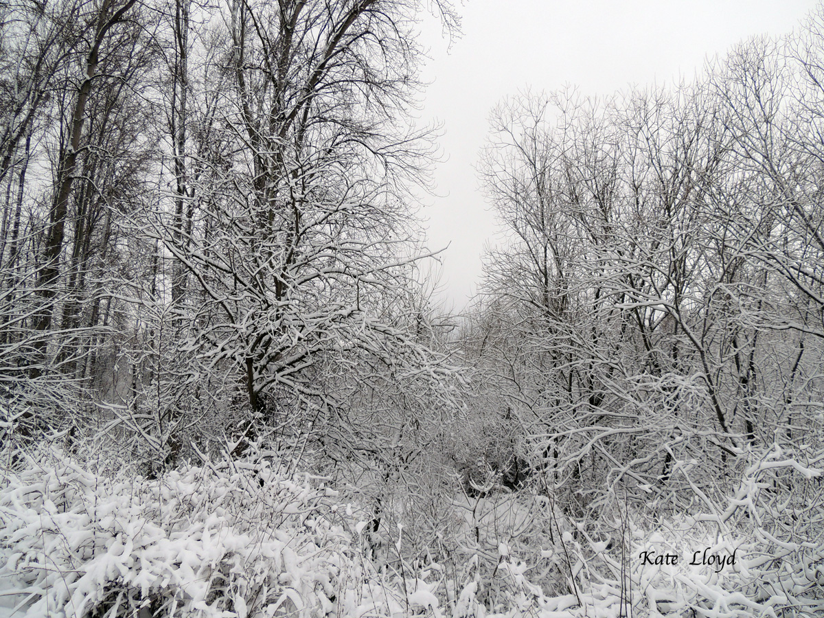 A stunning sight on the way to the nature preserve.