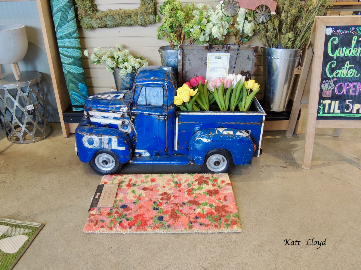 This cute display met me inside the nursery.