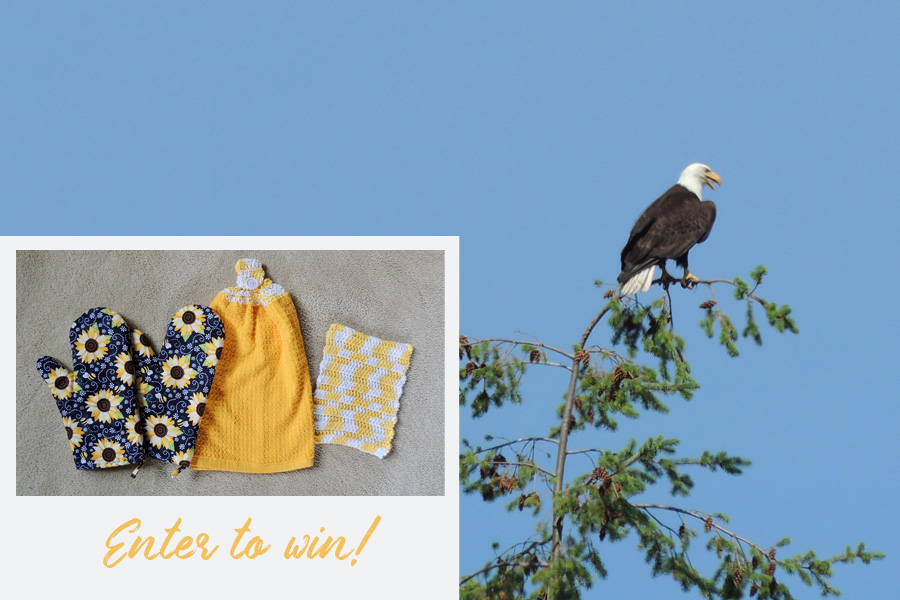 July 4th Amish Giveaway