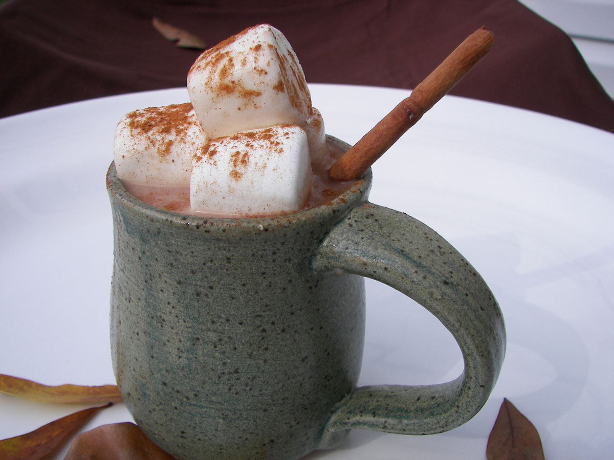 I’m sure I’d find comfort in this mug of hot chocolate.