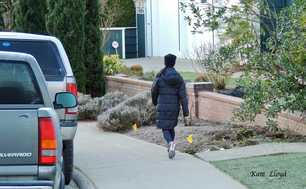It seems everyone is out walking.