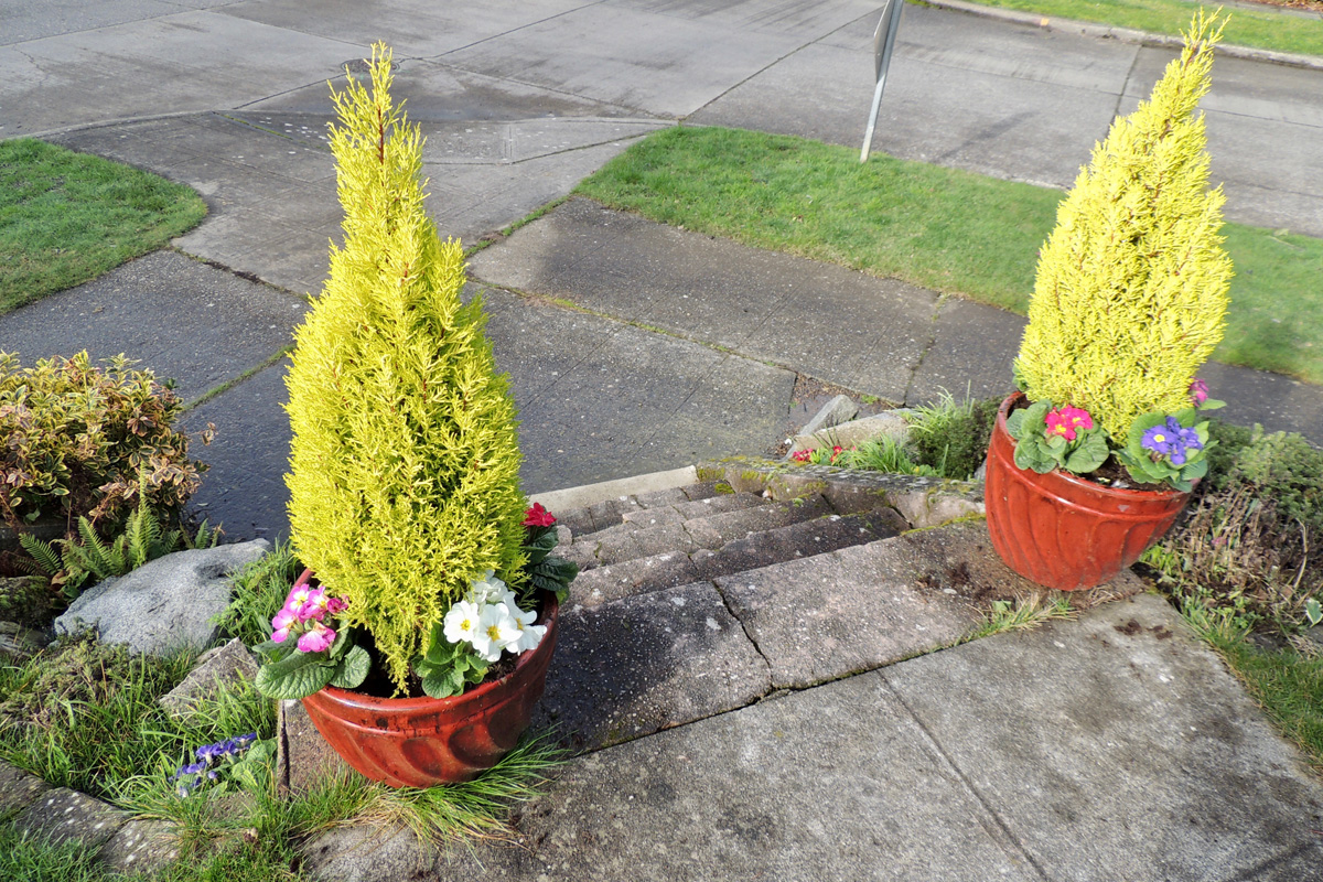 Kate Lloyd - early flower pots