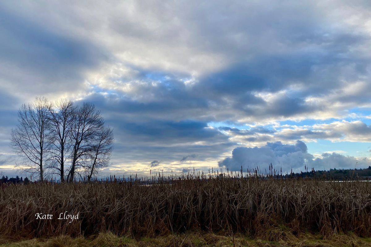 Colors and patterns make even cloudy days fun to walk.