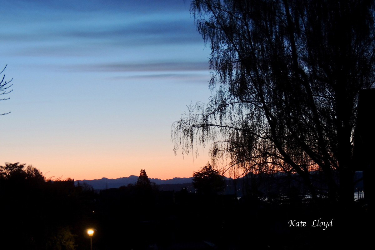 The sun was just beginning to come up as I started out on my walk.