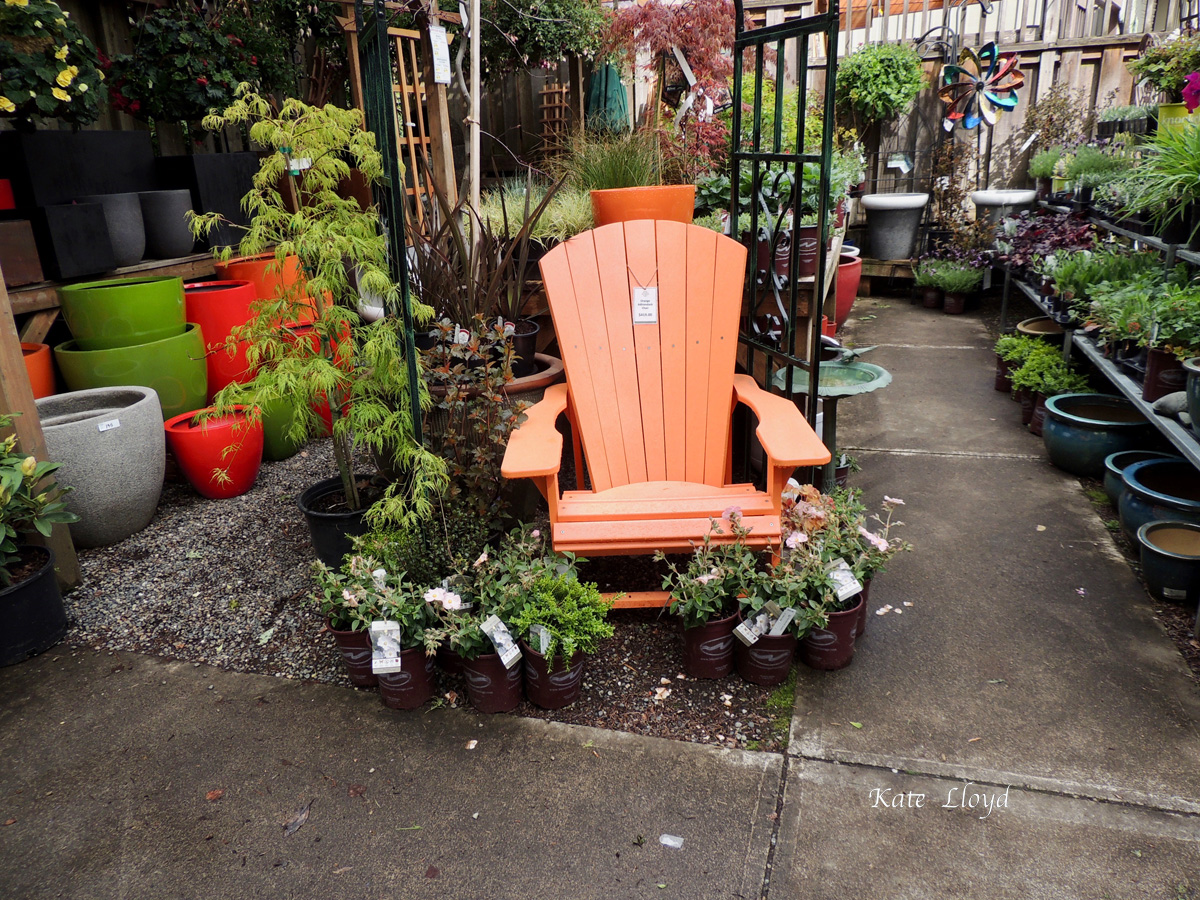 A trip to the local nursery … I want this chair!