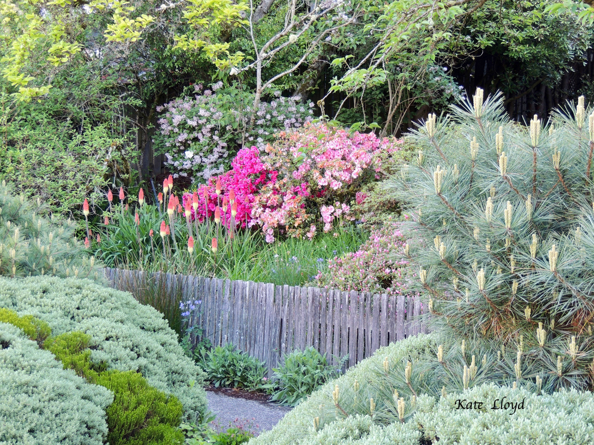 A delightful planting that flourishes in the spring.