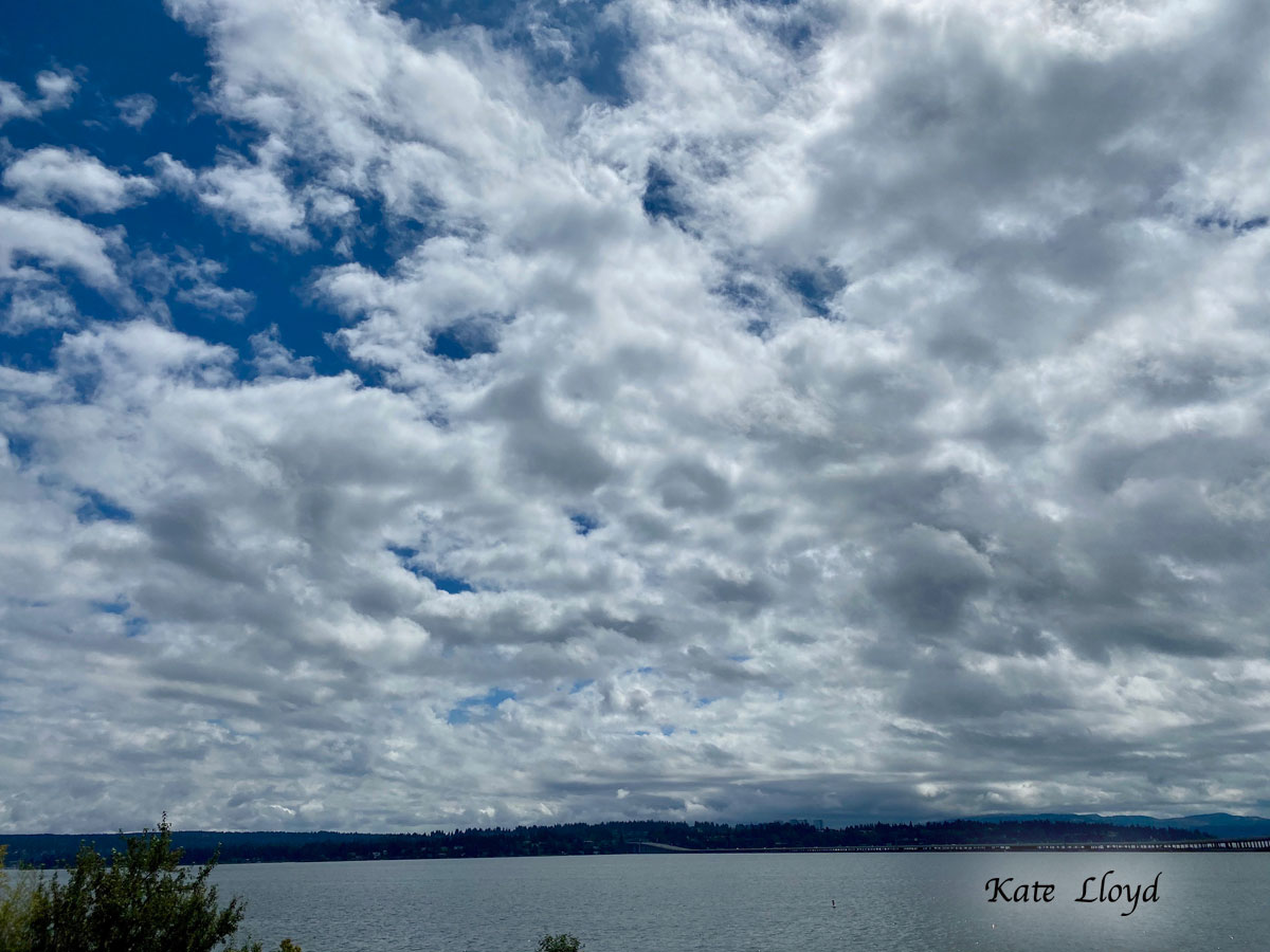 The sky told me the clouds were breaking up. Yay!