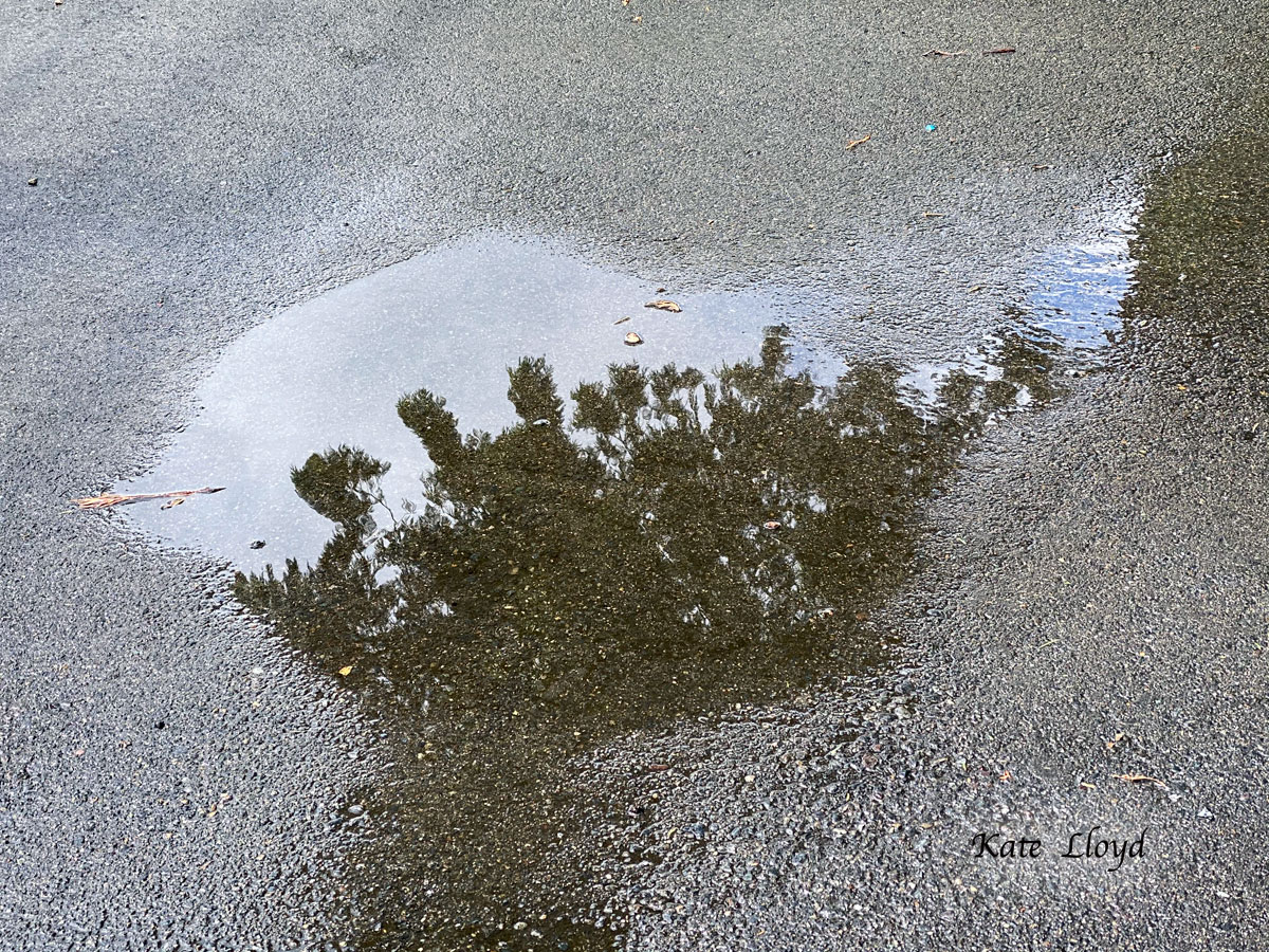 Residual water soon evaporated.