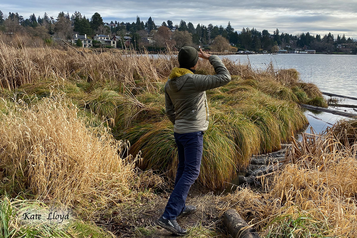 Our son’s friend appreciating a view of Lake Washington.