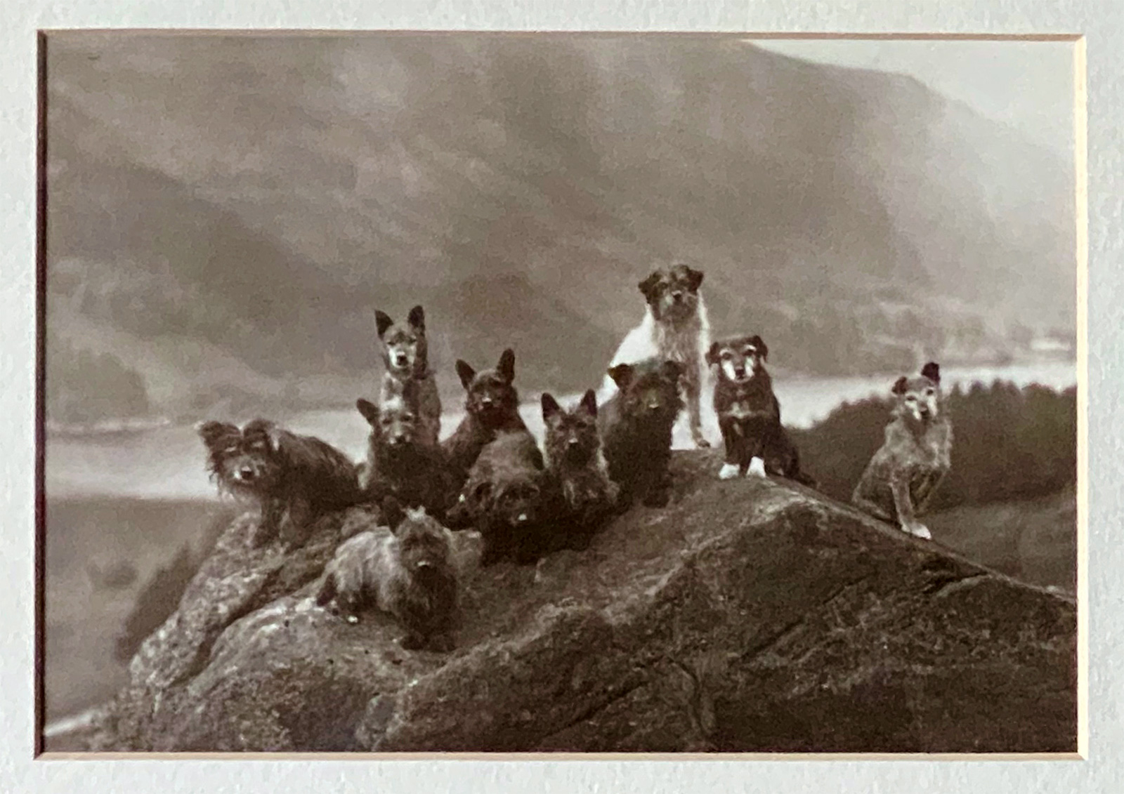 This photo  I found in Scotland always makes me smile.