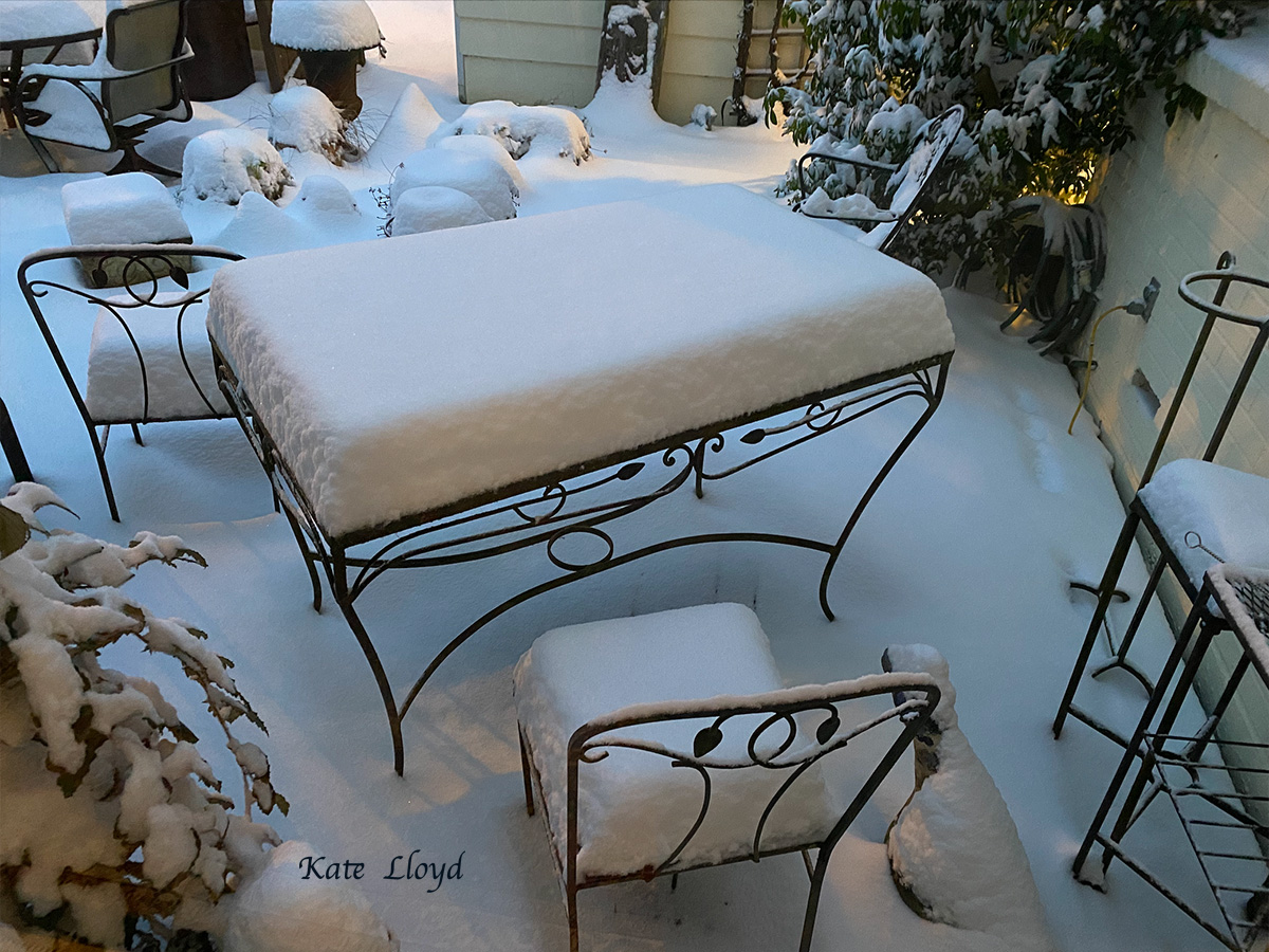 Our snow-covered deck hasn’t looked like this in years.