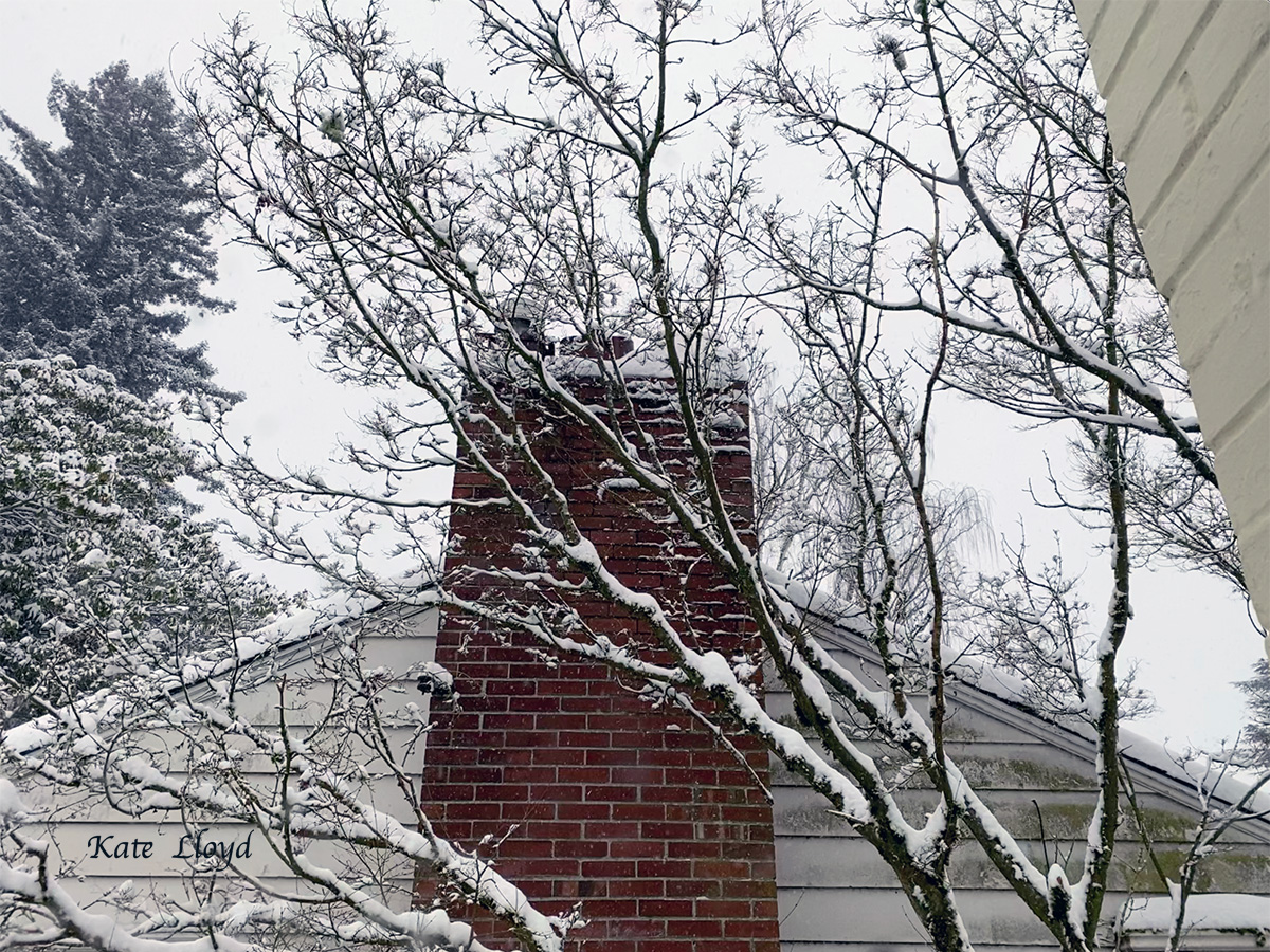 Even our next door neighbor's maple and chimney looked more beautiful!
