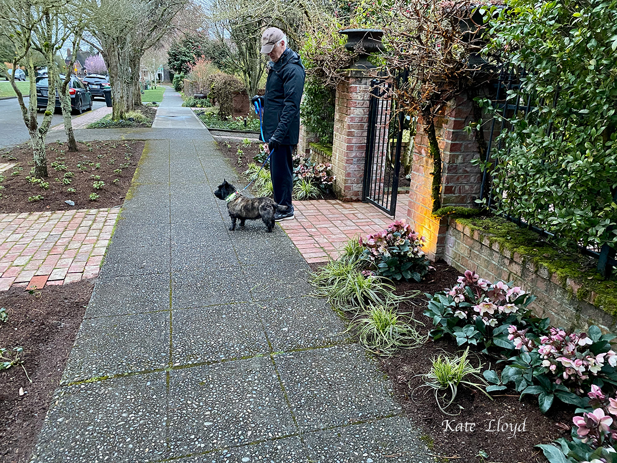 My husband enjoys walking with Piper too.