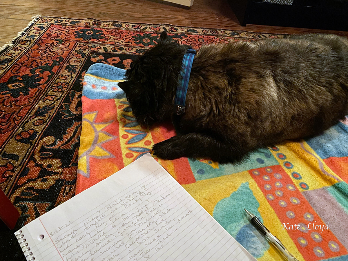 Piper settles down for a nap on her favorite beach towel, while I get back to writing.
