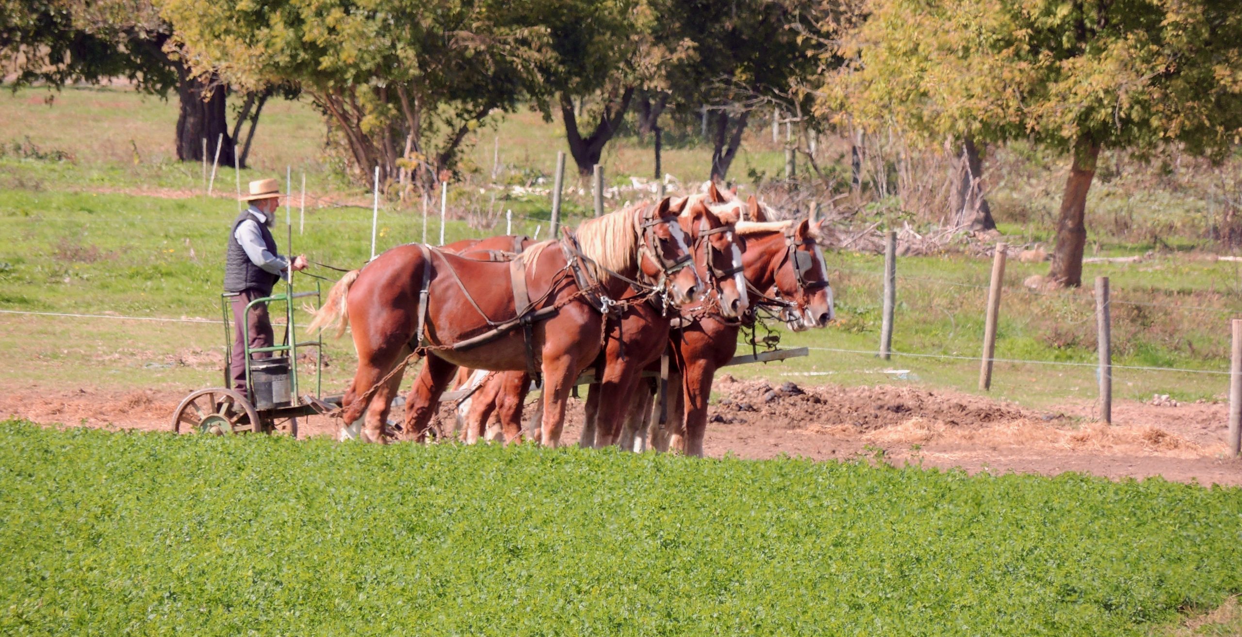 A photo I took of horses working a field during a trip to Lancaster, Pennsylvania. 