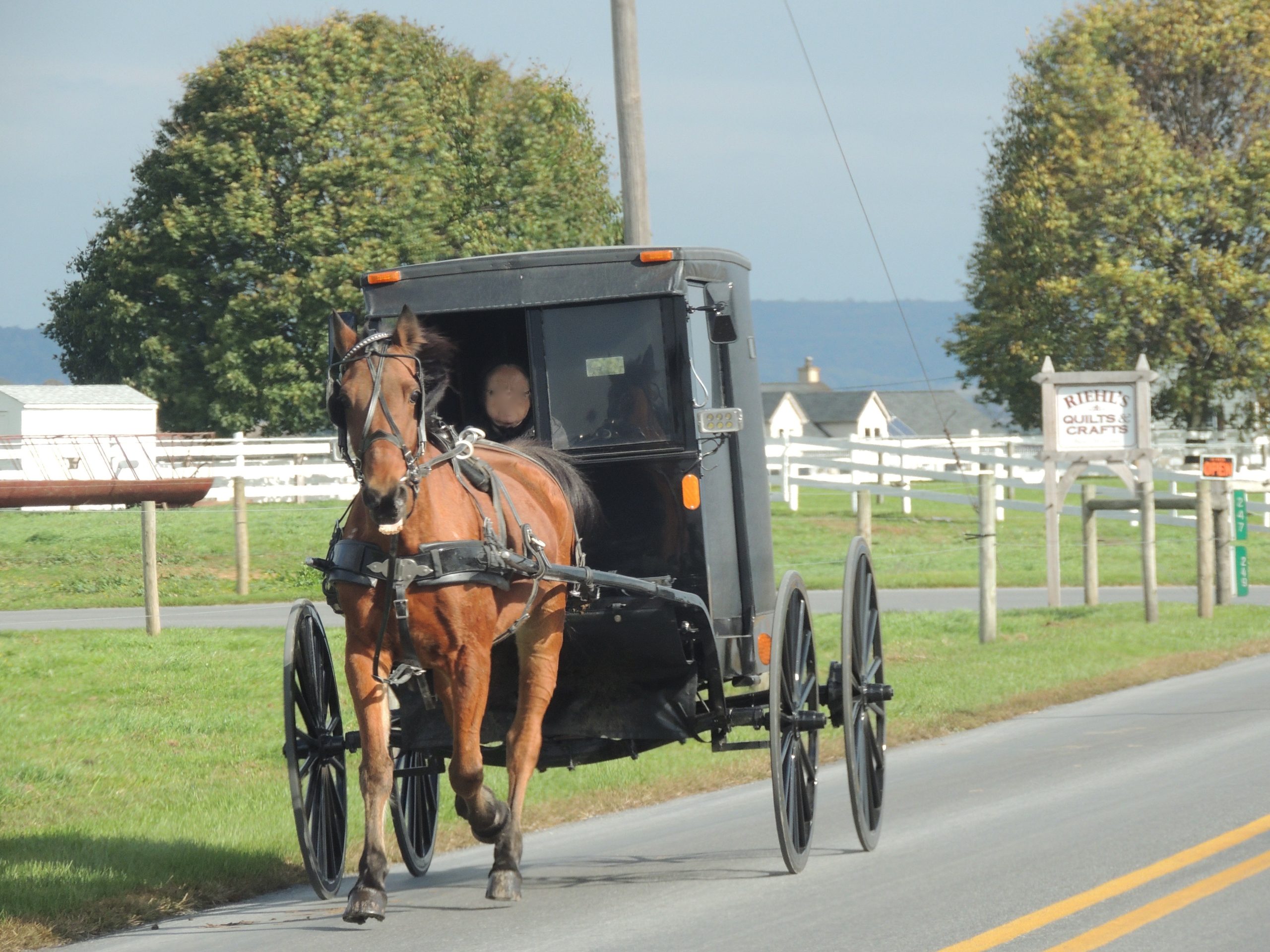 A photo I took of an Amish buggy during a trip to Lancaster, Pennsylvania. 