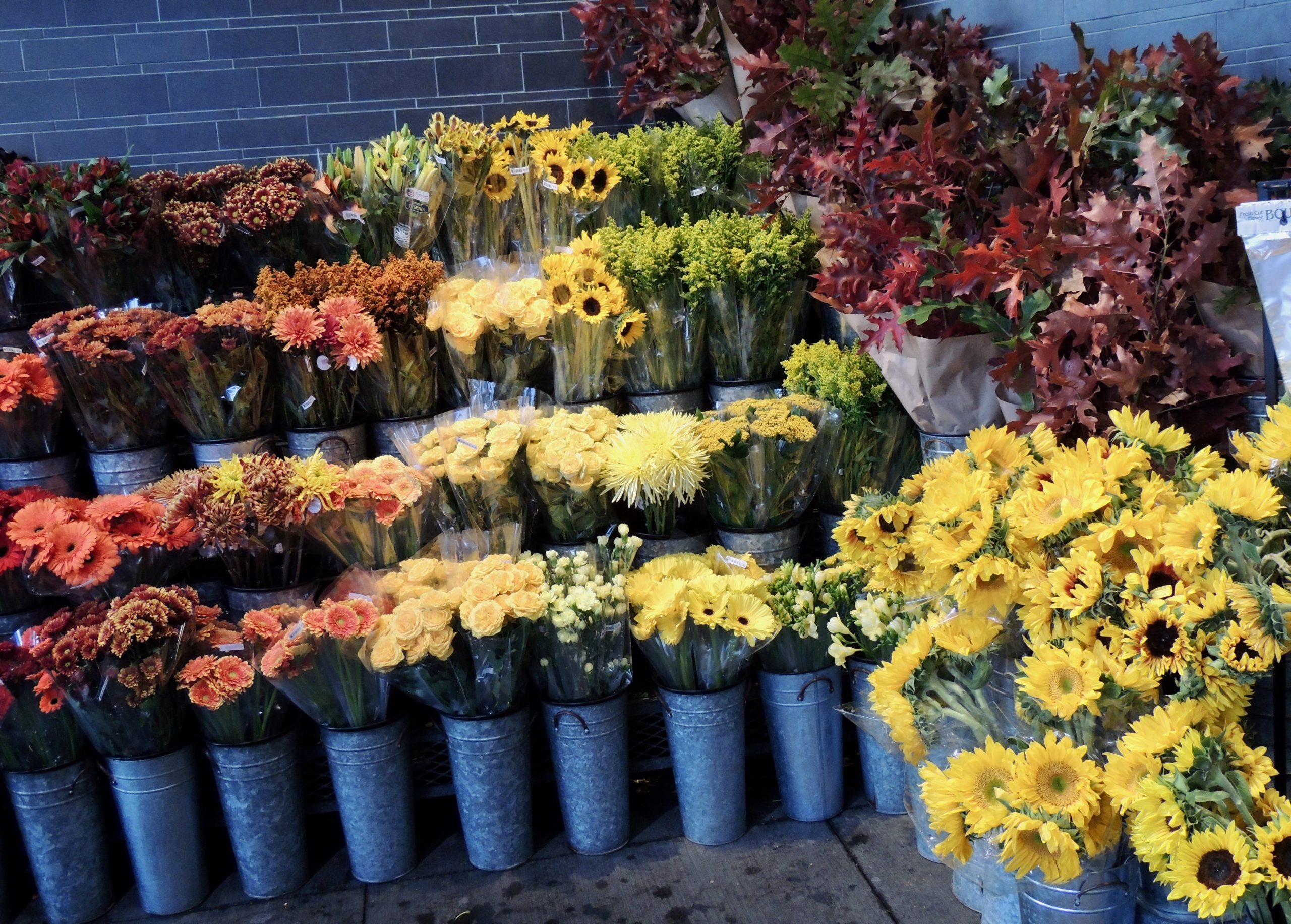 Fall colors at the grocery store